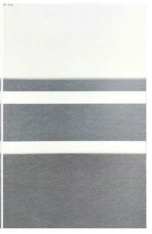 Gạch ốp lát 30x60cm Hà Thanh-4454